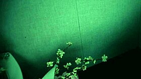 imagine the cutest bound toilet pet enduring extreme bdsm assfucking and golden showers