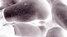 Explore timeless allure of vintage erotic artwork masterpieces.