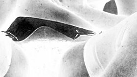 Explore timeless allure of vintage erotic artwork masterpieces.