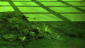 trample my body in extreme bdsm domination crush