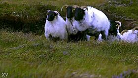 i love the edenists handmade objects group exhibition