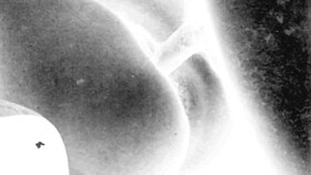 Explore timeless allure of vintage erotic artwork masterpieces.