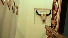 zhang xiaoyu's hairy chinese pussy exposed softcore