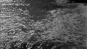 vintage erotic drawings showcase hairy beavers retro style