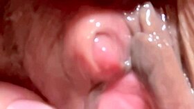 Amateur's shaved pussy up close 51 days post first time