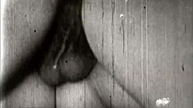 vintage erotic drawings showcase hairy beavers retro style