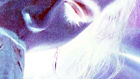 Vintage Erotic Art Teases Hidden Passions in Retro Frames