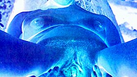 Vintage Erotic Art Teases Hidden Passions in Retro Frames