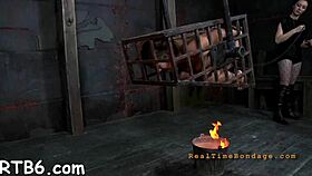 four sluts crammed in tiny cage?