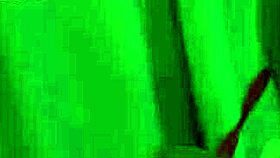 busty bunny madison rides doctor cowgirl style to cure her horniness