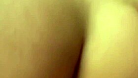 Sexy brunette Latina teases huge cock in POV cowgirl and rough doggy