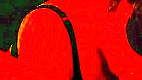 omg bbw sub gives sloppy head 😍🍆