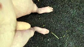 Risky midday outdoor masturbation with monster cock pov solo 😏 public thrill naked everywhere!!