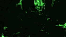 i picked up hot blonde fucked her tight ass and pussy