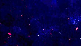 horny 18+ teen craves blowjob fingering hardcore fuck facial cumshot