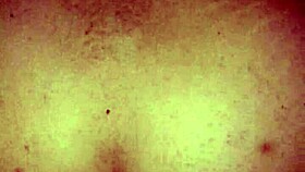 curvy dominican bbw takes anal pounding loving doggystyle deep