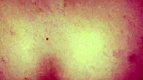 curvy dominican bbw takes anal pounding loving doggystyle deep