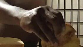 wanna see me cook with big black cock in kitchen using bananas on my tits?