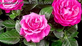 college buddy bangs my wet pussy hard and deep