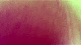 tattoo babe sucks cock then fucks client doggystyle