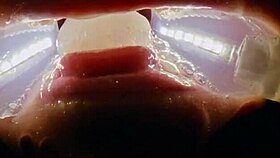 Rebel Rhyder drowns in frozen cum bukkake, probe lens close-up filth!