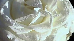 college buddy bangs my wet pussy hard and deep