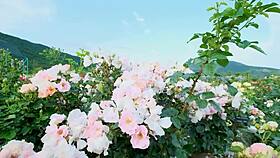 college buddy bangs my wet pussy hard and deep