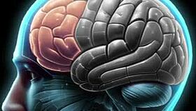 complete symphony of the serpent part 18 gameplay walkthrough 😎🎮