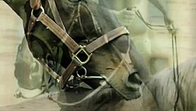 vintage babe bares hairy pussy outdoors casually