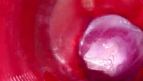 camera deep in my pussy for that powerful cumshot asmr 4k