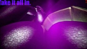 Practice facestitting farts right on my face!