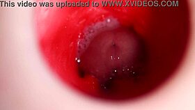 stunning 4k anal cumshot fills the camera perfectly