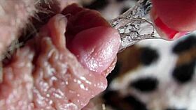 check out this big clit pulsing in orgasm closeup