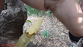 perverted mature bbw slut squirts wildly impaled on wooden stake deep in forest