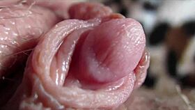 check out this big clit pulsing in orgasm closeup