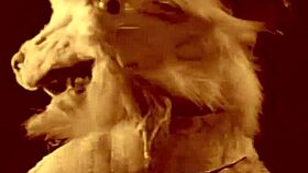 Wow! Vintage Hairy Beaver Pulses In Retro Erotic Pussy Display!