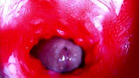 extreme close-up asmr diving headfirst into wet pregnant pussy
