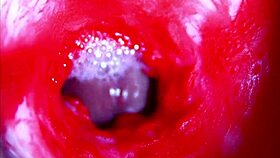 extreme close-up asmr diving headfirst into wet pregnant pussy