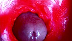 extreme close-up asmr diving headfirst into wet pregnant pussy