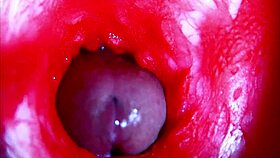 extreme close-up asmr diving headfirst into wet pregnant pussy
