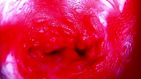 extreme close-up asmr diving headfirst into wet pregnant pussy