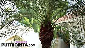 asian putri cinta slowly removes her orange bikini