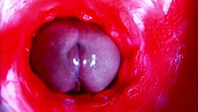 extreme close-up asmr diving headfirst into wet pregnant pussy