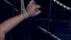 i'm whippin amanda black's ass n fuckin rough