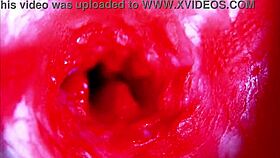 extreme close-up asmr diving headfirst into wet pregnant pussy