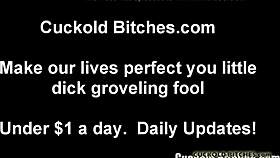 Watch a real stud pound what your wife craves most