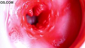 Big red cock thrusts deep in juicy oiled pussy hole ready to explode with cum close up