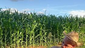 Guy Shoves Whole Corn Deep into Tight Asshole Solo