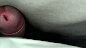 i rub my cock frantically under the warm sheets until explosive cumshot orgasm hits
