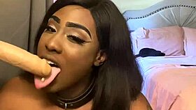 lexo butterfly's deep ebony cock sucking fills me with submissive passion
